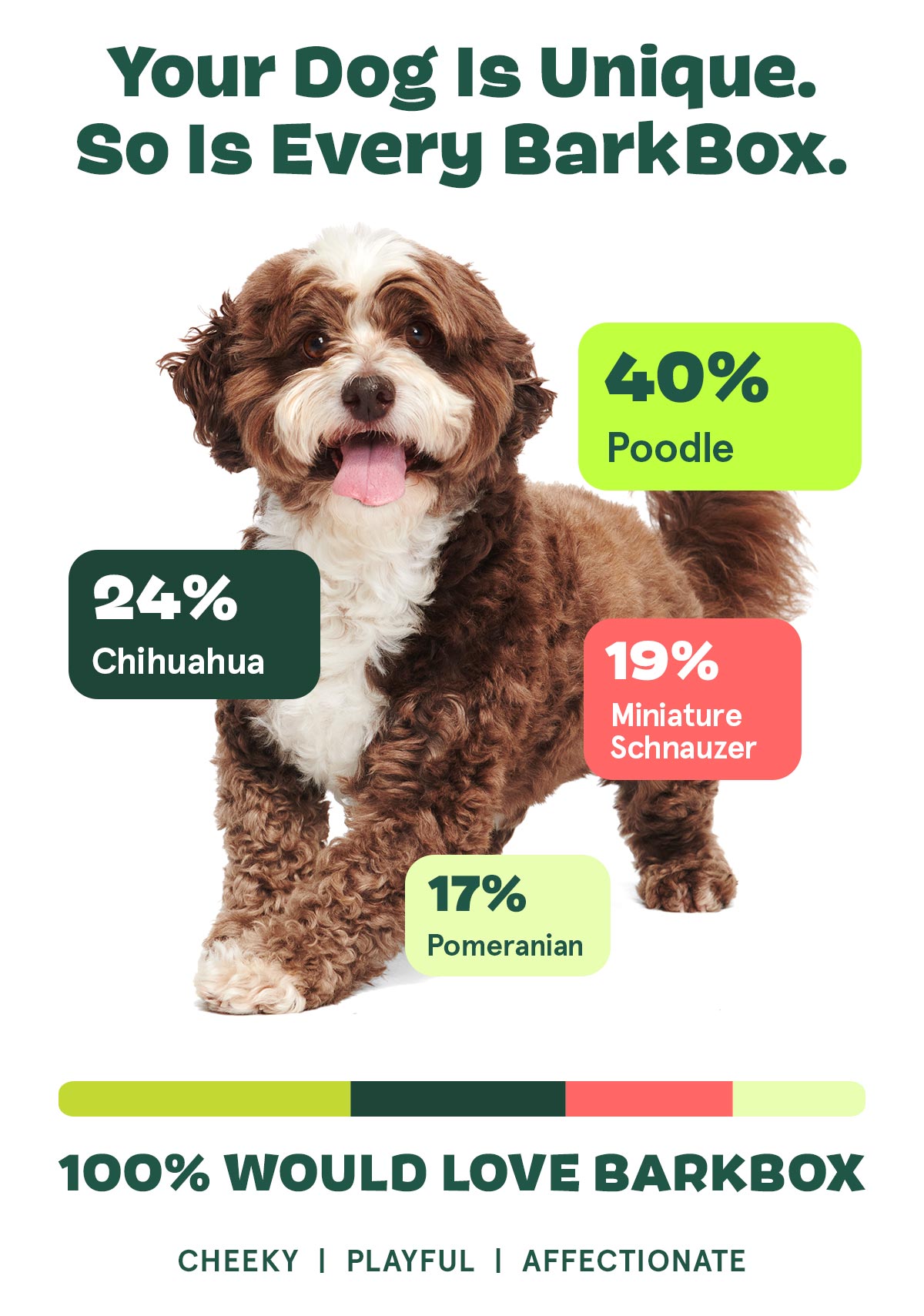 Barkbox shop sales